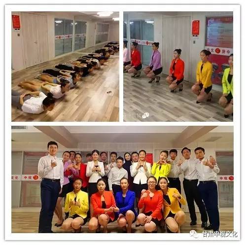 五年雙桂冠，深耕教育鑄就專業(yè)典范